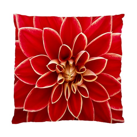Red Dahila Cushion Case (Single Sided)  from UrbanLoad.com Front