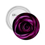 Deep Purple Rose 2.25  Button