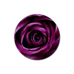 Deep Purple Rose Drink Coaster (Round)