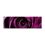 Deep Purple Rose Bumper Sticker 10 Pack