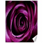 Deep Purple Rose Canvas 12  x 16  (Unframed)