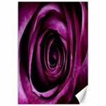 Deep Purple Rose Canvas 12  x 18  (Unframed)