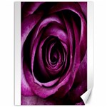Deep Purple Rose Canvas 36  x 48  (Unframed)