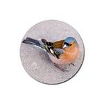 BRIGHT CHAFFINCH Rubber Round Coaster (4 pack)