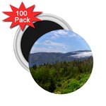 Newfoundland 2.25  Button Magnet (100 pack)