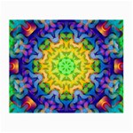 Psychedelic Abstract Glasses Cloth (Small, Two Sided)