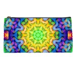 Psychedelic Abstract Pencil Case