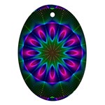 Star Of Leaves, Abstract Magenta Green Forest Oval Ornament (Two Sides)
