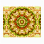Red Green Apples Mandala Glasses Cloth (Small, Two Sided)
