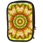 Red Green Apples Mandala Compact Camera Leather Case
