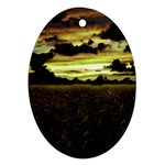 Dark Meadow Landscape  Oval Ornament (Two Sides)