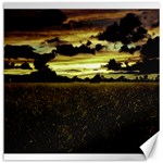 Dark Meadow Landscape  Canvas 20  x 20  (Unframed)
