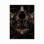 Skull Poster Background Canvas 20  x 24  (Unframed)