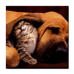 Cat And Dog Tile Coaster