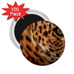 Tiger Eye 2.25  Magnet (100 pack) 
