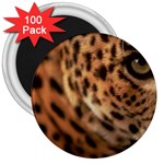 Tiger Eye 3  Magnet (100 pack)
