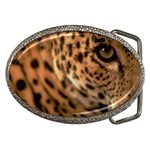Tiger Eye Belt Buckle