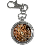 Tiger Eye Key Chain Watch