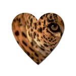 Tiger Eye Magnet (Heart)