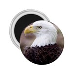 Bald Eagle 2.25  Magnet