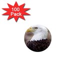 Bald Eagle 1  Mini Magnet (100 pack) 