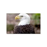 Bald Eagle Sticker (Rectangular)