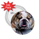 English Bulldog 2.25  Button (100 pack)