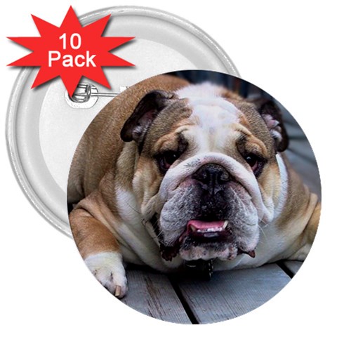 English Bulldog 3  Button (10 pack) from UrbanLoad.com Front