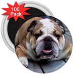 English Bulldog 3  Magnet (100 pack)