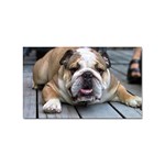 English Bulldog Sticker (Rectangular)