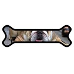 English Bulldog Magnet (Dog Bone)