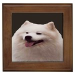 Samoyed Dog Framed Tile