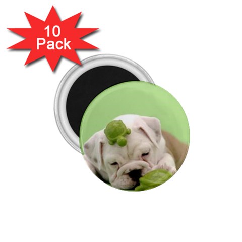 cute dog 1.75  Magnet (10 pack)  from UrbanLoad.com Front