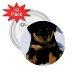 cute pup 2.25  Button (10 pack)