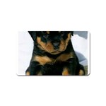cute pup Magnet (Name Card)