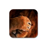 Lion Rubber Square Coaster (4 pack)