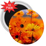 Garden 3  Magnet (10 pack)