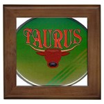 Taurus Framed Tile