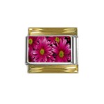 Pink Flowers Gold Trim Italian Charm (9mm)