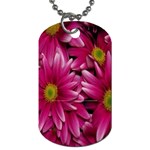 Pink Flowers Dog Tag (One Side)