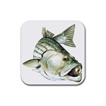 Striped Bass Rubber Square Coaster (4 pack)