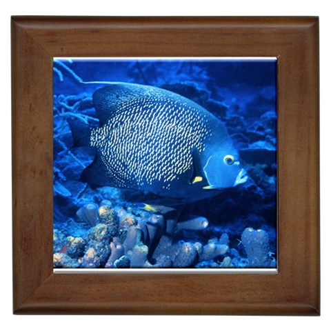Blue Angel Fish Framed Tile from UrbanLoad.com Front