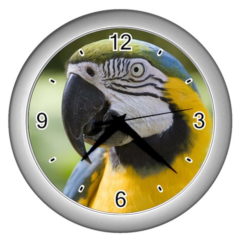 Handsome Parrot Wall Clock (Silver) from UrbanLoad.com Front