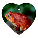 Red Frog Ornament (Heart)