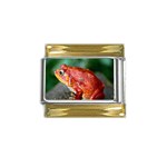 Red Frog Gold Trim Italian Charm (9mm)