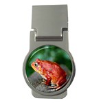 Red Frog Money Clip (Round)