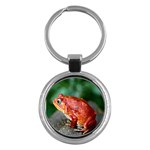 Red Frog Key Chain (Round)
