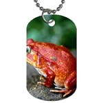 Red Frog Dog Tag (One Side)