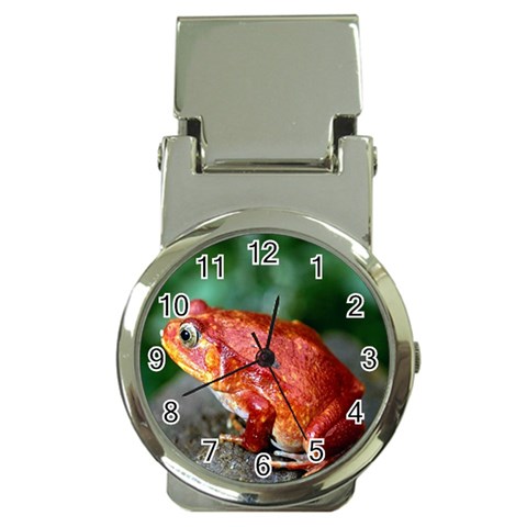 Red Frog Money Clip Watch from UrbanLoad.com Front