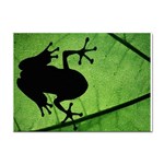 Frog Sticker A4 (10 pack)